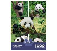 1000 Piece Jigsaw Puzzles- Whimsical Black Cat Portrait Jigsaw for Adults Brain Teaser Game Difficult Challenge Stress Reduction Gifts 38x26cm/1000pcs