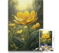 1000 Piece Jigsaw Puzzles- Yellow Buttercup Flower with Dew Drops Calm Enjoyable Spare Time Fun Tight Seamless Precision Toy Size 50x75cm
