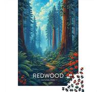 1000 Piece Jigsaw, Redwood National Park Path, Festive Gift, 52x38cm/1000pcs