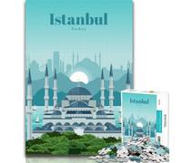 1000 Piece Jigsaw Travel to Istanbul Puzzles 1000 Pieces for Teenagers,Toys Educational Games Stress Relieving Artists Collection, Fine Art 26x38cm