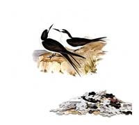 1000 Piece Jigsaw Vintage Sooty Tern Bird Challenging Puzzles Interactive Family Game DIY Home Decor Brain Challenge Gift 1000 PCS(38x26cm)