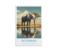 1000 Piece Jigsaws，Botswana Southern Africa Puzzle 1000 Pieces, Relaxing and Challenging Gift for Adults, Teens, Seniors 26x38cm