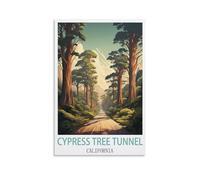 1000 Piece Jigsaws，Cypress Tree Tunnel California Puzzle 1000 Pieces, Relaxing and Challenging Gift for Adults, Teens, Seniors 26x38CM