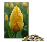 1000 Piece Jigsaws for Adults Bloom Jigsaw Puzzle - Challenging Game A Work of Art Suitable for And Teenager 14 And Up 1000 PCS(75x50cm)