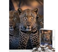 1000 Piece Jigsaws for Adults Four Leopards Portrait Toy Wall Decor Gift For Birthdays Impossible Game Artists' Collection, Fine Arts Size 38x26cm