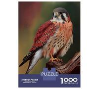 1000 Piece Jigsaws for Adults Puzzle American Kestrel Falcon Adult Jigsaw Puzzle Brain Teaser Game Difficult Challenge Challenging To Complete 38x26cm/1000pcs