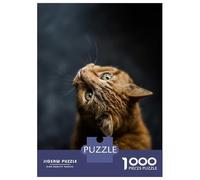 1000 Piece Jigsaws for Adults Puzzle Curious Ginger Cat Teenager Puzzles Brain Teaser Game Enhance Memory Educational Challenge 52x38cm/1000pcs