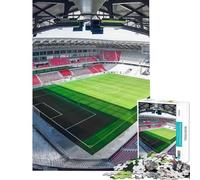 1000 Piece Jigsaws for Adults Puzzle Freiburg Sc Stadion Jigsaw Brain Teaser Game Precision Cutting Birthday Present, Gifts, (Size 38x26cm)