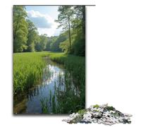 1000 Piece Jigsaws for Adults Reed Marsh Jigsaw Puzzle - Challenging Game A Work of Art Suitable for And Teenager 14 And Up 1000 PCS(75x50cm)