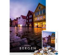 1000 Piece Jigsaws for Teenagers Puzzle Bergen City Shared Interactive Home Fun Time Special Festive Idea (38x26cm)