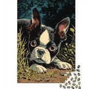 1000 Piece Jigsaws for Teenagers Puzzle Boston Terrier Puppies Teenager Puzzles Relaxing Games Perfect Decoration Birthday And Unique Gifts 70x50cm/1000pcs