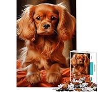 1000 Piece Jigsaws for Teenagers Ruby Cavalier King Charles Spaniel Relax Games Addictive Toys to Cultivate Patience Art Work Gifts Wall Art (size 38x26cm)