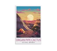 1000 Piece Jigsaws，Organ Pipe Cactus National Monument Home Decor Birthday Party Gift Toy for Men Women Elders Seniors 50x70cm