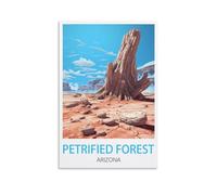 1000 Piece Jigsaws，Petrified Forest Arizona Home Decor Birthday Party Gift Toy for Men Women Elders Seniors 50x70cm