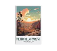 1000 Piece Jigsaws，Petrified Forest National Park Puzzle 1000 parts paper puzzle adult children learning toys family decompression game 52x38cm