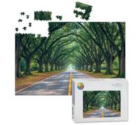 1000 Piece Large Jigsaw Puzzles for Adults, Avenue Oaks South Boundary Aiken SC the Challenge Stitch Wooden Puzzle Creative Games Gift Ideas for Women Men Teens