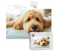 1000 Piece Large Jigsaw Puzzles for Adults, Golden Labradoodle dog home sofa the Challenge Stitch Wooden Puzzle Creative Games Gift Ideas for Women Men Teens