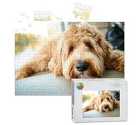 1000 Piece Large Jigsaw Puzzles for Adults, Golden Labradoodle dog home sofa the Challenge Stitch Wooden Puzzle Creative Games Gifts Ideas for Women Men Teens
