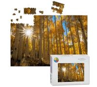 1000 Piece Large Jigsaw Puzzles for Adults, Sun bursting grove Fall Aspen Trees the Challenge Stitch Wooden Puzzle Creative Games Gifts Ideas for Women Men Teens