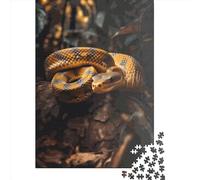 1000 Piece Long And Lean Jigsaw Square Puzzle for Adults & Paper Puzzles Educational Game Challenge Toy 38x26cm/1000pcs