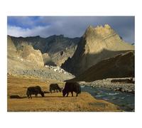 1000 Piece Puzzle Beautiful Decoration Puzzle-Asia,mountains,river 70x50cm