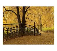 1000 Piece Puzzle Beautiful Decoration Puzzle-Bridge,railing,park,autumn 70x50cm