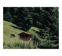 1000 Piece Puzzle Beautiful Decoration Puzzle-Building,Slope,forests,Trees,Grass 70x50cm