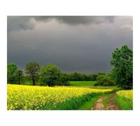 1000 Piece Puzzle Beautiful Decoration Puzzle-Cloudy,road,flowers 70x50cm