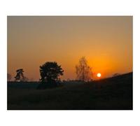 1000 Piece Puzzle Beautiful Decoration Puzzle-Decline,Sun,Slope,Trees,Grass 70x50cm