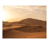 1000 Piece Puzzle Beautiful Decoration Puzzle-Desert,sand,dunes 70x50cm