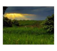 1000 Piece Puzzle Beautiful Decoration Puzzle-Fields,sun,sky 70x50cm
