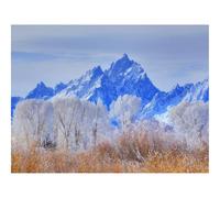 1000 Piece Puzzle Beautiful Decoration Puzzle-Grand,teton,national,park,wyoming 70x50cm