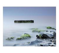 1000 Piece Puzzle Beautiful Decoration Puzzle-Stones,Moss,Rocks,Smooth Surface,Silence,Fog 70x50cm