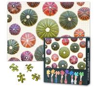 1000 Piece Puzzle for Adults Colorful Sea Urchins Puzzle 1000 Pieces Home Wall Decoration Challenging Puzzles Suitable for Game Nights Adolescent Family Toy Finished Size: 70x50cm