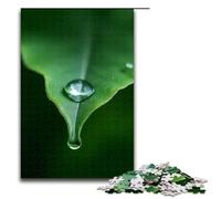 1000 Piece Puzzle For Adults Crystal Clear Water Drops Falling from The Leaf Tip Game Puzzles for Is Ideal As A Gift for The Whole Family 1000 PCS(75x50cm)