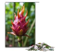1000 Piece Puzzle For Adults Dragon Fruit Orchard Game Puzzles for Is Ideal As A Gift for The Whole Family 1000 PCS(38x26cm)