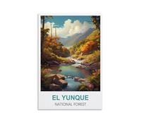 1000 Piece Puzzle for Adults El Yunque National Forest Puerto Rico Puzzles Micro Pieces Challenging Difficult Puzzles Christmas Birthday Gift Game Toys 38x52cm