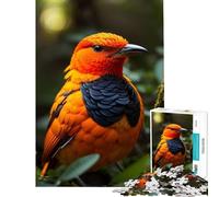 1000-piece Puzzle for Adults Flame Bowerbird Exotic Brain Intelligence Challenge Addictive Toys Family Games Wall Decoration Funny Gifts (Size 38x26cm)