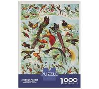 1000 Piece Puzzle for Adults, Oiseaux Birds Artwork, Creative Leisure Activity, Seasonal Gift Choice, Durable Puzzle Pieces, 52x38cm/1000pcs