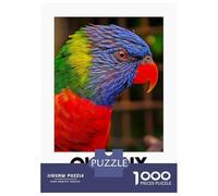 1000 Piece Puzzle for Adults, Rainbow Lorikeet Artwork, Challenging Brain Teaser, for Puzzle Lovers, Premium Puzzle Pieces, 70x50cm/1000pcs