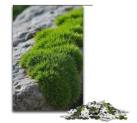 1000 Piece Puzzle For Adults Rock Weave Game Puzzles for Is Ideal As A Gift for The Whole Family 1000 PCS(38x26cm)