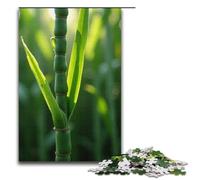 1000 Piece Puzzle For Adults Sugar Cane Game Puzzles for Is Ideal As A Gift for The Whole Family 1000 PCS(38x26cm)