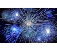 1000 Piece Puzzle for Kids - Beautiful White Bird Each piece is unique, pieces fit together perfectly 50x70cm