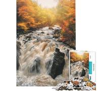 1000 Piece Puzzle For Teenagers Black Linn Falls Hermitage Challenging To Complete Enhance Memory DIY Toys for And 14 Years And over (38x26cm)