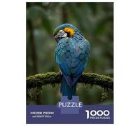 1000 Piece Puzzle For Teenagers Blue And Gold Macaw Portrait Jigsaw Puzzle Toy Wall Decor Perfect Decoration Unique Gifts for Birthday And Christmas 52x38cm/1000pcs
