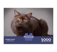 1000-piece Puzzle for Teenagers British Shorthair Cat Jigsaws for Adults Hands-on Game Precision Cutting Great Gift for Gaming 52x38cm/1000pcs