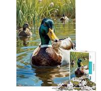 1000-piece Puzzle for Teenagers Mallard Duck in Pond Fun at Home Activities, Family Activities Hands-on Game Suitable for Ages 14 And Up (38x52cm)