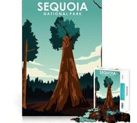 1000-piece Puzzle for Teenagers Sequoia National Park Clean Edge Game Mental Focus Game Slow Play Fun Birthday Fun Gift(38x26cm)