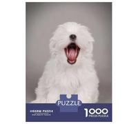 1000-piece Puzzle for Teenagers Yawning Maltese Puppy Puzzles for Adults Relax Games Staycation Kill Time Challenging To Complete 52x38cm/1000pcs