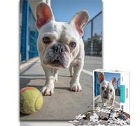 1000 Piece Puzzle Pug Playing Tennis 1000 Piece Jigsaw Puzzles,Challenging Difficult with Fully Interlocking Randomly Shaped Pieces 50x75cm